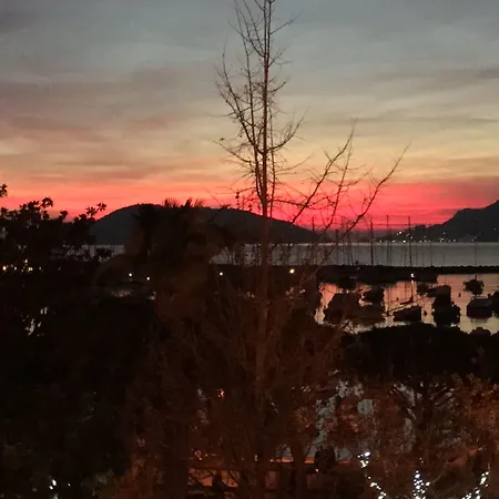 Shelley E Delle Palme, Bw Signature Collection 3* Lerici