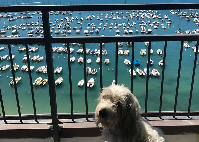 Shelley E Delle Palme, Bw Signature Collection 3* Lerici