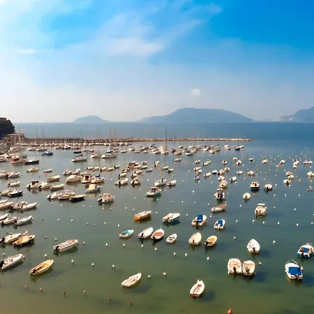 Shelley E Delle Palme, Bw Signature Collection