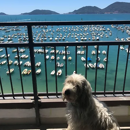 Shelley E Delle Palme, Bw Signature Collection 3* Lerici