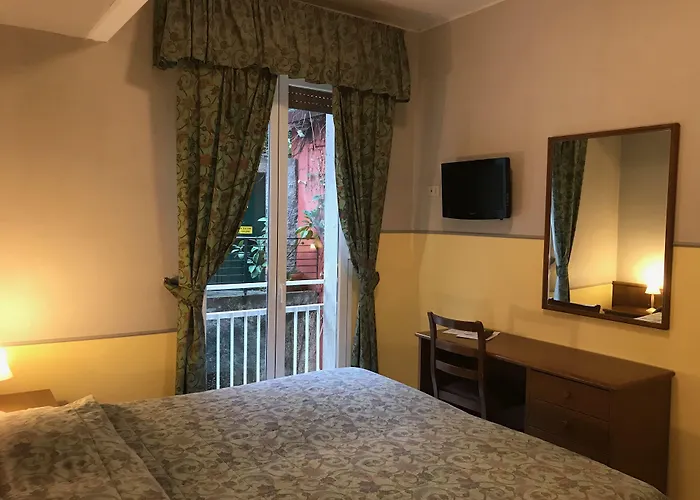 Hotel Shelley E Delle Palme 3*