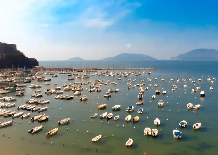 Shelley E Delle Palme, Bw Signature Collection