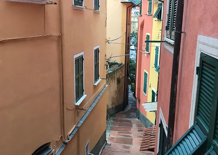 Shelley E Delle Palme, Bw Signature Collection Отель